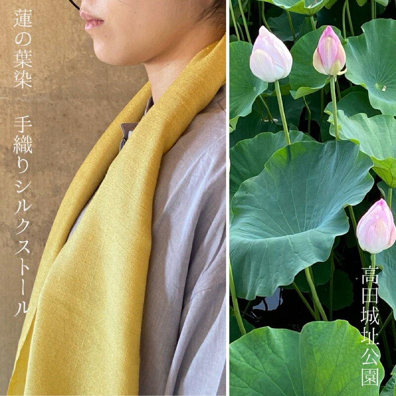 【ふるさと納税】ストール 高田城址公園 蓮の葉染 手織りシルクプチストール 手織り シルク 新潟 上越 上越市　お届け：ご入金確認後、順次発送いたします。 サムネイル2