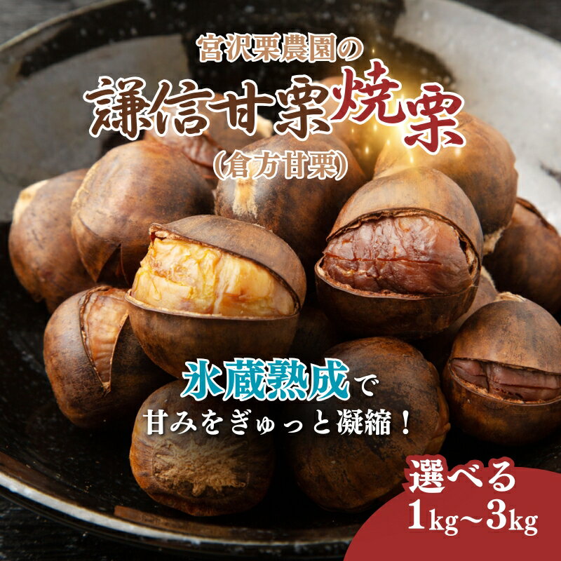【ふるさと納税】栗 焼き栗 謙信甘栗の氷蔵熟成栗 1kg 2kg 3kg 1キロ 2キロ 3キロ 新潟県 上越市産 甘栗 やきぐり スイーツ おやつ くり 秋の味覚 送料無料　お届け：2025年10月20日～2025年12月15日 サムネイル2