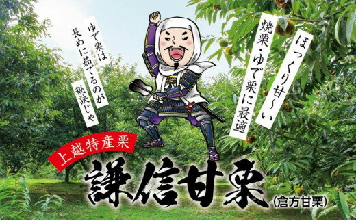 【ふるさと納税】栗 焼き栗 謙信甘栗の氷蔵熟成栗 1kg 2kg 3kg 1キロ 2キロ 3キロ 新潟県 上越市産 甘栗 やきぐり スイーツ おやつ くり 秋の味覚 送料無料　お届け：2025年10月20日～2025年12月15日 サムネイル3