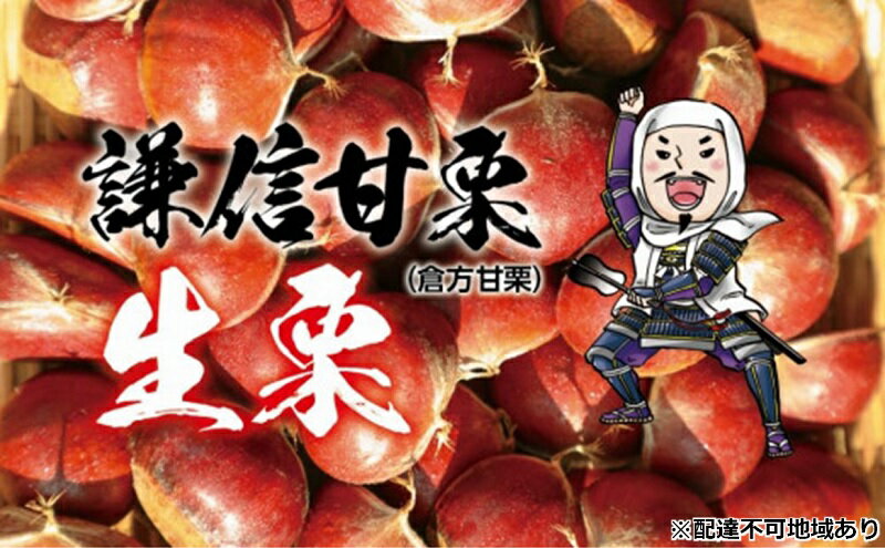 【ふるさと納税】栗 生栗 謙信甘栗の氷蔵熟成栗 1kg 2kg 3kg 1キロ 2キロ 3キロ 新潟県 上越市産 甘栗 なまぐり スイーツ おやつ くり 秋の味覚 送料無料　お届け：2025年10月20日～2025年12月15日 サムネイル3