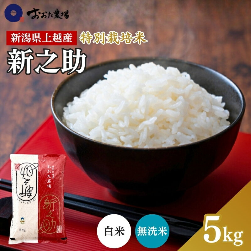 【ふるさと納税】米 【令和7年産】 新潟県上越産 特別栽培米 新之助 【白米/無洗米】 5kg 5キロ お米 こめ 白米 食品 人気 おすすめ にいがた 上越 上越産　お届け：2025年12月下旬から順次発送 - 画像2