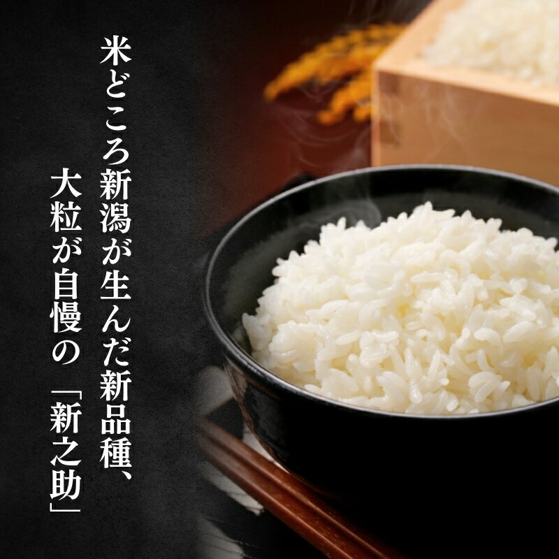 【ふるさと納税】米 【令和7年産】 新潟県上越産 特別栽培米 新之助 【白米/無洗米】 5kg 5キロ お米 こめ 白米 食品 人気 おすすめ にいがた 上越 上越産　お届け：2025年12月下旬から順次発送 - 画像3