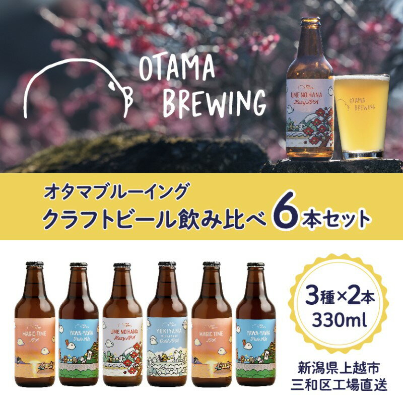 【ふるさと納税】クラフトビール 飲み比べ 6本 セット 新潟県上越市 330ml 定番4種から3種×2本 工場直送 ビール サムネイル2