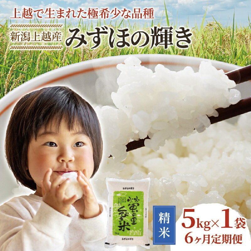 令和8年産 先行予約 新潟県産 みずほの輝き 5kg×6回 6か月 定期便 30kg 30キロ 米 精米 おすすめ　お届け：※令和8年10月から順次、毎月下旬に発送（計6回）します。