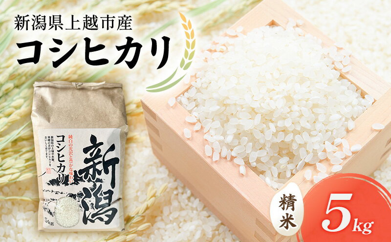 【ふるさと納税】令和7年 新潟県上越市産 コシヒカリ（特別栽培米） 5kg 5キロ 米 こしひかり 山本農園 ご飯 精米 新潟 上越 - 画像2