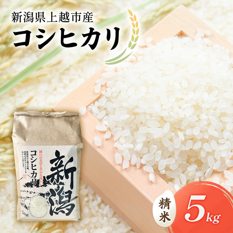 令和7年 新潟県上越市産 コシヒカリ（特別栽培米） 5kg 5キロ 米 こしひかり 山本農園 ご飯 精米 新潟 上越