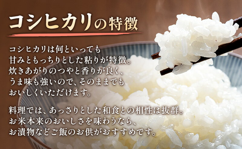 【ふるさと納税】令和7年 新潟県上越市産 コシヒカリ（特別栽培米） 5kg 5キロ 米 こしひかり 山本農園 ご飯 精米 新潟 上越 - 画像3