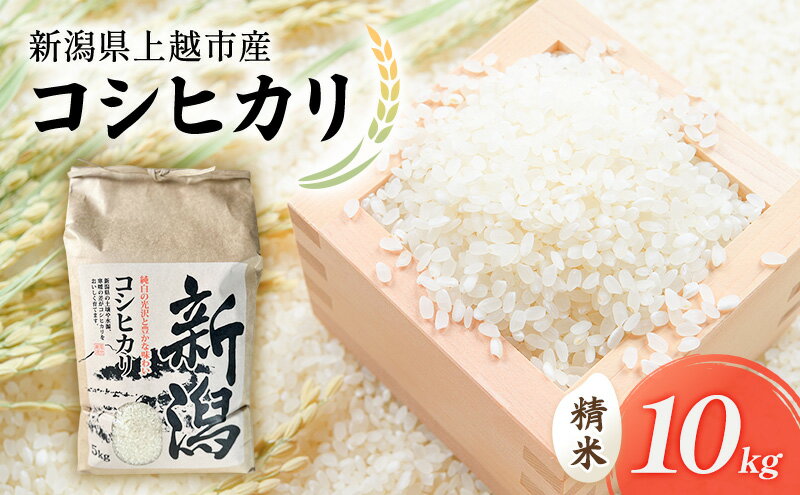【ふるさと納税】令和7年 新潟県上越市産 コシヒカリ（特別栽培米） 10kg 10キロ 米 こしひかり 山本農園 ご飯 精米 新潟 上越 - 画像2