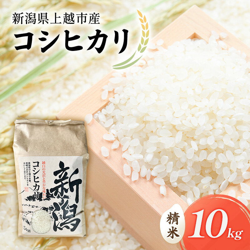 令和7年 新潟県上越市産 コシヒカリ（特別栽培米） 10kg 10キロ 米 こしひかり 山本農園 ご飯 精米 新潟 上越