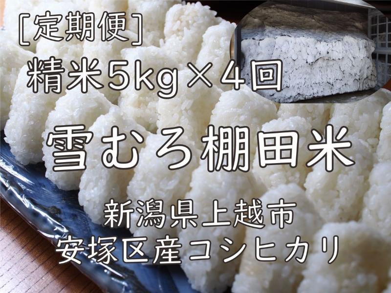 令和7年 新潟県産 棚田米 コシヒカリ 精白米 定期便 20kg 20キロ (5kg×4回) 雪中貯蔵 雪むろ こしひかり 精米 お米 こめ 新潟 上越 米 送料無料　お届け：寄附ご入金確認の翌月以降、4カ月連続でお届けします。