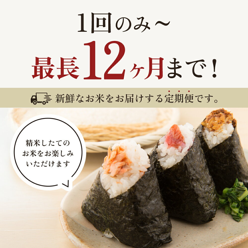 【ふるさと納税】高評価★4.88 令和7年産 新之助 上越産 2kg 5kg 無洗米 発送時期と回数を選べる 定期便 五つ星お米マイスターのいるお店 お米 新潟県　新之助　無洗米　新潟県産　上越市　米　定期便　お届け：2025年10月上旬～2026年9月下旬まで - 画像3