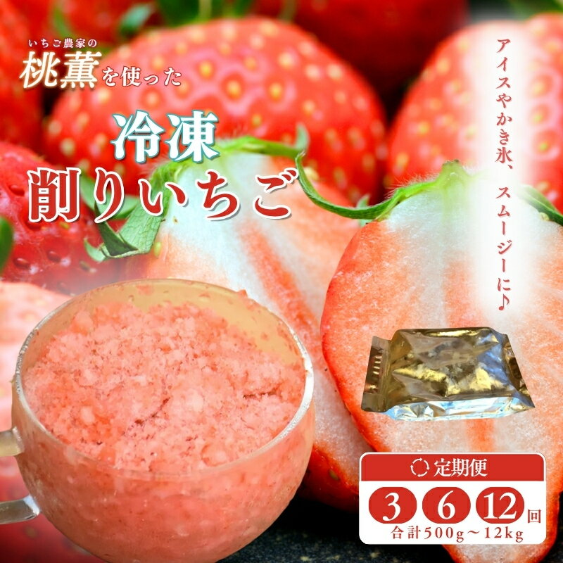 削りいちご 桃薫 容量と配送回数が選べる 冷凍 イチゴ 苺 果物 フルーツ 新潟