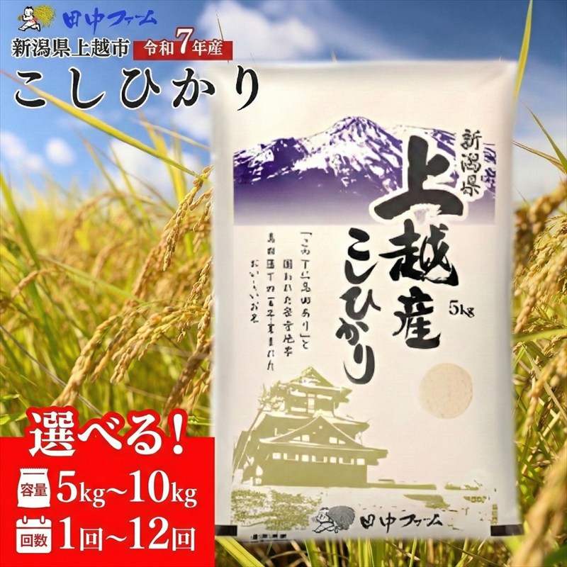 【ふるさと納税】令和7年産 コシヒカリ 新潟県 上越産 5kg 5キロ 定期便 2回 3回 6回 12回 配送回数 選べる お米 精米 白米 ご飯 ブランド米 こしひかり 上越市 G.A.P.認証　お届け：2025年12月中旬以降順次配送 - 画像2