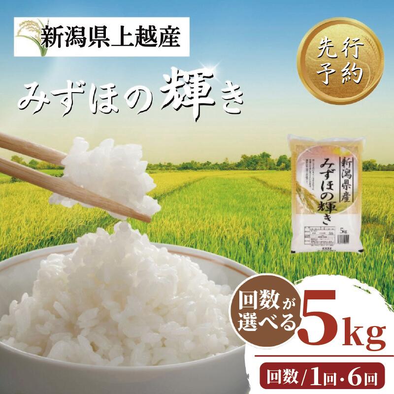 【先行予約】令和8年 新潟上越産 みずほの輝き 5kg 5キロ 配送回数が選べる 新潟 新潟県 限定　お届け：毎月1回20日(土日/祝日を除く)に発送いたします。