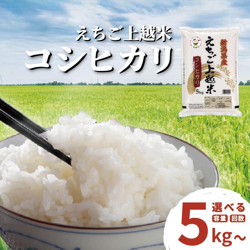 令和7年 新潟県産コシヒカリ 5kg 10kg 5キロ 10キロ 定期便 1回 3回 6回 12回 （毎月発送） えちご上越米 JAえちご上越 白米 精米 米 品質管理・異物排除・トレーサビリティを徹底　お届け：2025年10月上旬～