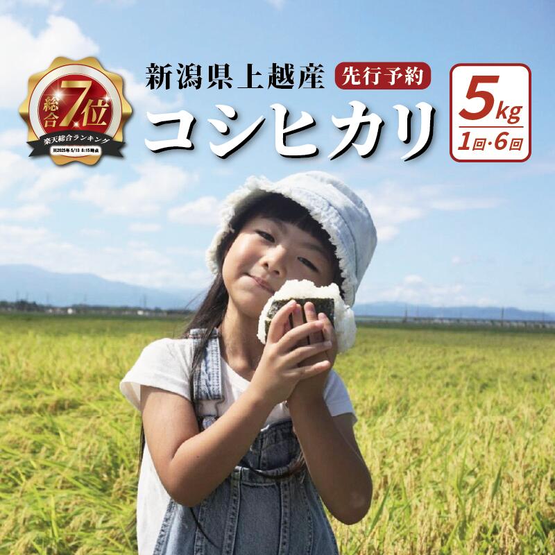 【ふるさと納税】【先行予約】令和8年 新潟上越産コシヒカリ 5kg 5キロ 配送回数が選べる 新潟 米 新潟県 こしひかり 限定　お届け：毎月1回10日(土日/祝日を除く)に発送いたします。 - 画像2
