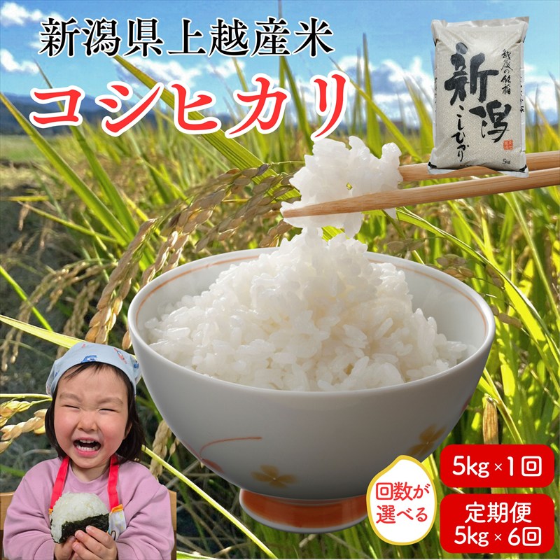 令和7年 新潟県産コシヒカリ 5kg 5キロ 30kg 30キロ（5kg×6回） 定期便 毎月届く 米ヴィレッジさんわ 自社精米 米 白米 限定　お届け：2025年10月～2026年9月下旬