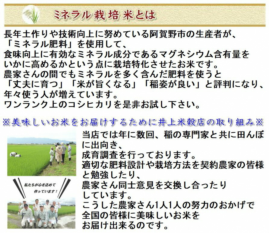 【ふるさと納税】【令和7年産】ミネラル栽培こしひかり 5kg 白米 精米 井上米穀店 - 画像2
