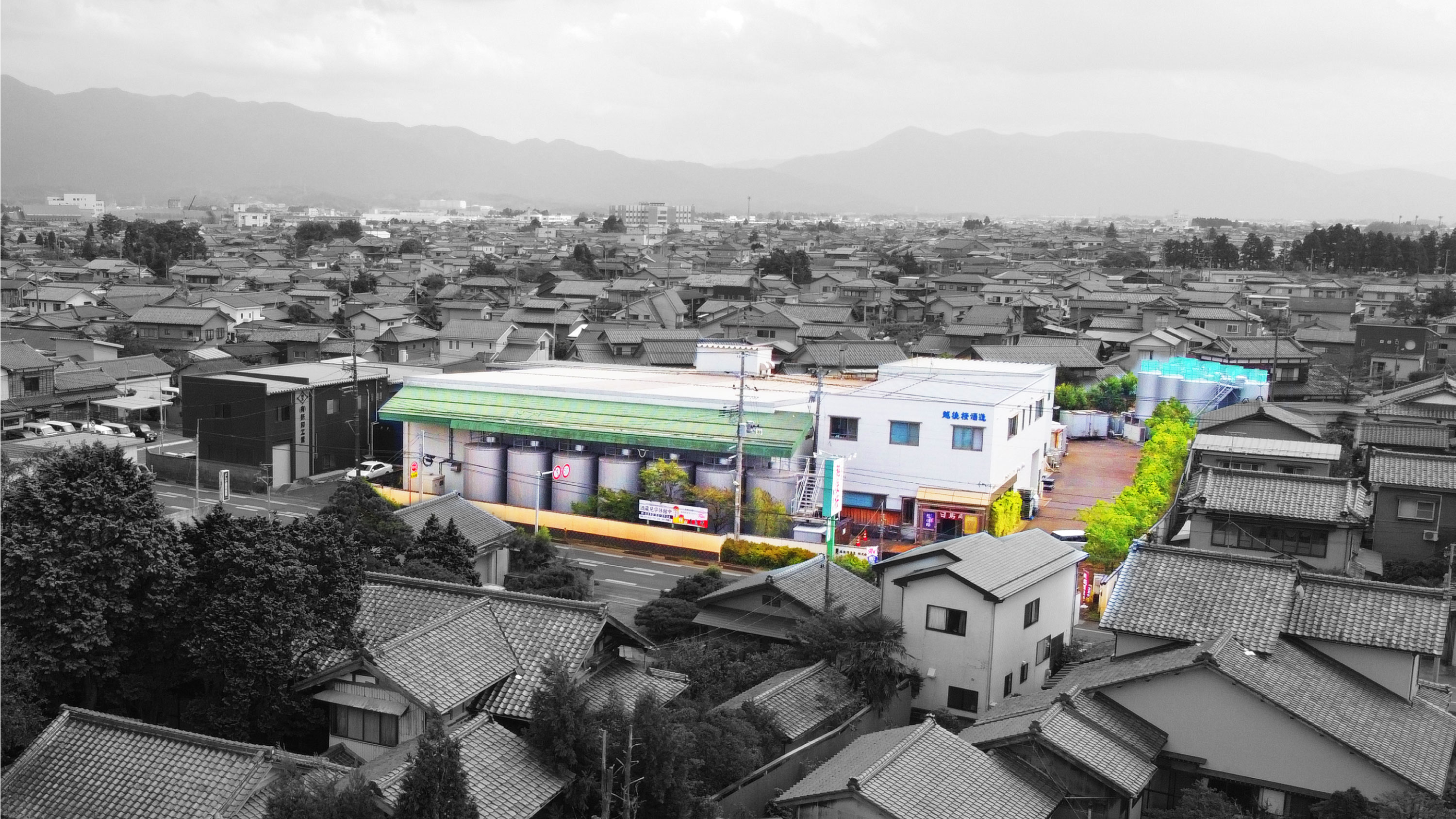 【ふるさと納税】越後桜酒造 自慢の3本セット 720ml 越後桜38大吟醸 純米大吟醸 詰合せ 山田錦 クリア 香り 金賞受賞 贈答 ギフト 箱 のし 日本酒 地酒 新潟県 阿賀野市 サムネイル3