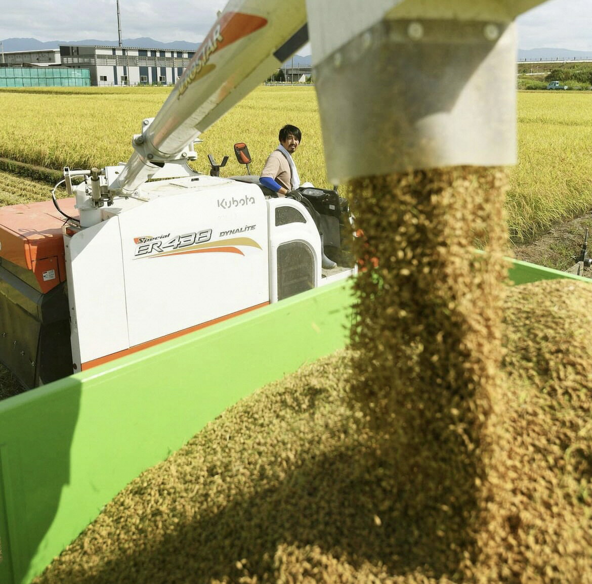 【ふるさと納税】 新之助パック ご飯 150g × 20パック 米 白米 艶やか 甘み 保存食 簡単 手軽 新潟県 阿賀野市 こめ コメ - 画像3