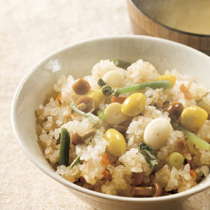 【ふるさと納税】【たんぱく質調整食品】 1/25 越後 米粒タイプ 1kg×6袋 バイオテックジャパン 越後シリーズ - 画像3