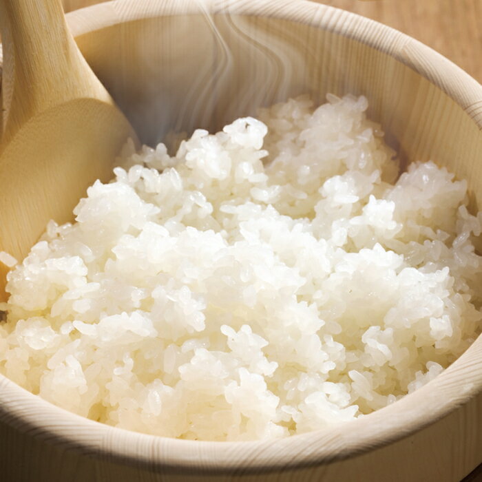 【ふるさと納税】【たんぱく質調整食品】【3ヶ月定期便】 1/25 越後ごはん 小盛 140g×30個×3回 バイオテックジャパン 越後シリーズ - 画像3