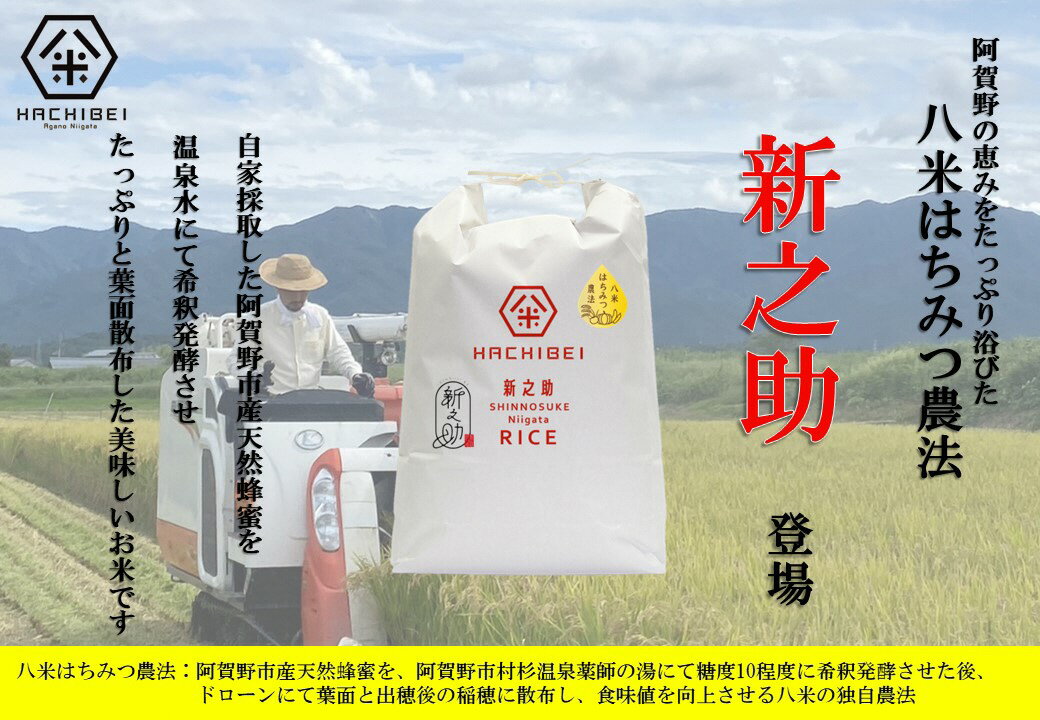 【ふるさと納税】【令和7年産】【環境大臣賞受賞】【特別賞受賞】無洗米 新之助 10kg 農家直送 ほんのり甘い「はちみつ農法」 白米 精米 HACHIBEI 八米 - 画像3
