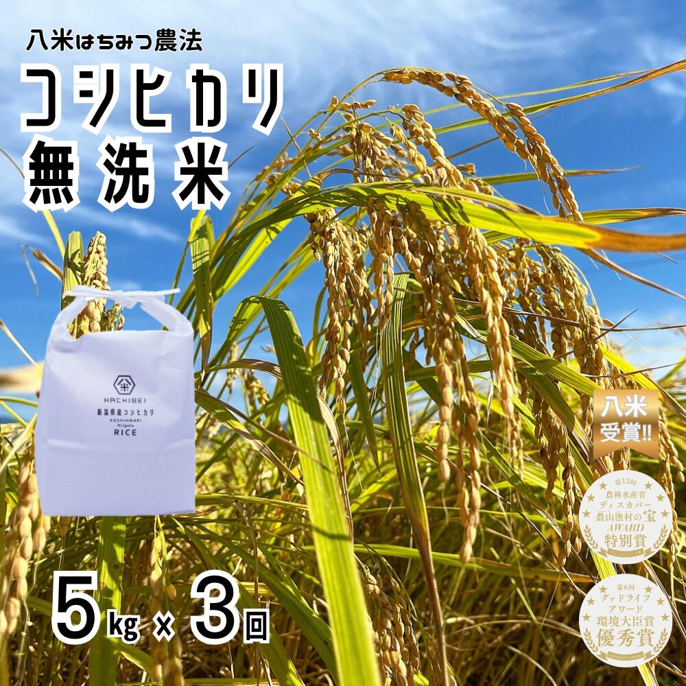 【令和7年産】【環境大臣賞受賞】【特別賞受賞】 3ヶ月定期便 無洗米 コシヒカリ 5kg×3回 計15kg 農家直送 ほんのり甘い「はちみつ農法」 白米 精米 HACHIBEI 八米