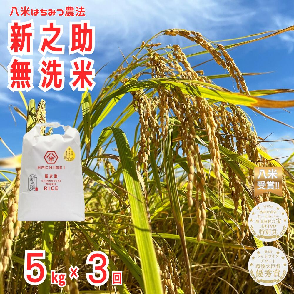 【令和7年産】【環境大臣賞受賞】【特別賞受賞】3ヶ月定期便 無洗米 新之助 5kg×3回 計15kg 農家直送 ほんのり甘い「はちみつ農法」 白米 精米 HACHIBEI 八米