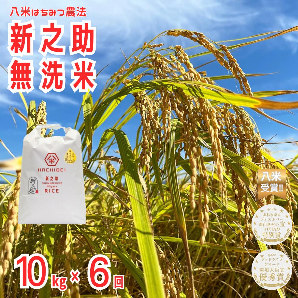 【令和7年産】【環境大臣賞受賞】【特別賞受賞】 6ヶ月定期便 無洗米 新之助 10kg×6回 計60kg 農家直送 ほんのり甘い「はちみつ農法」 白米 精米 HACHIBEI 八米