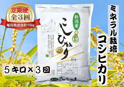 【令和7年産】≪3ヶ月定期便 ≫ミネラル栽培こしひかり 5kg×3回 (計15kg )白米 精米 井上米穀店