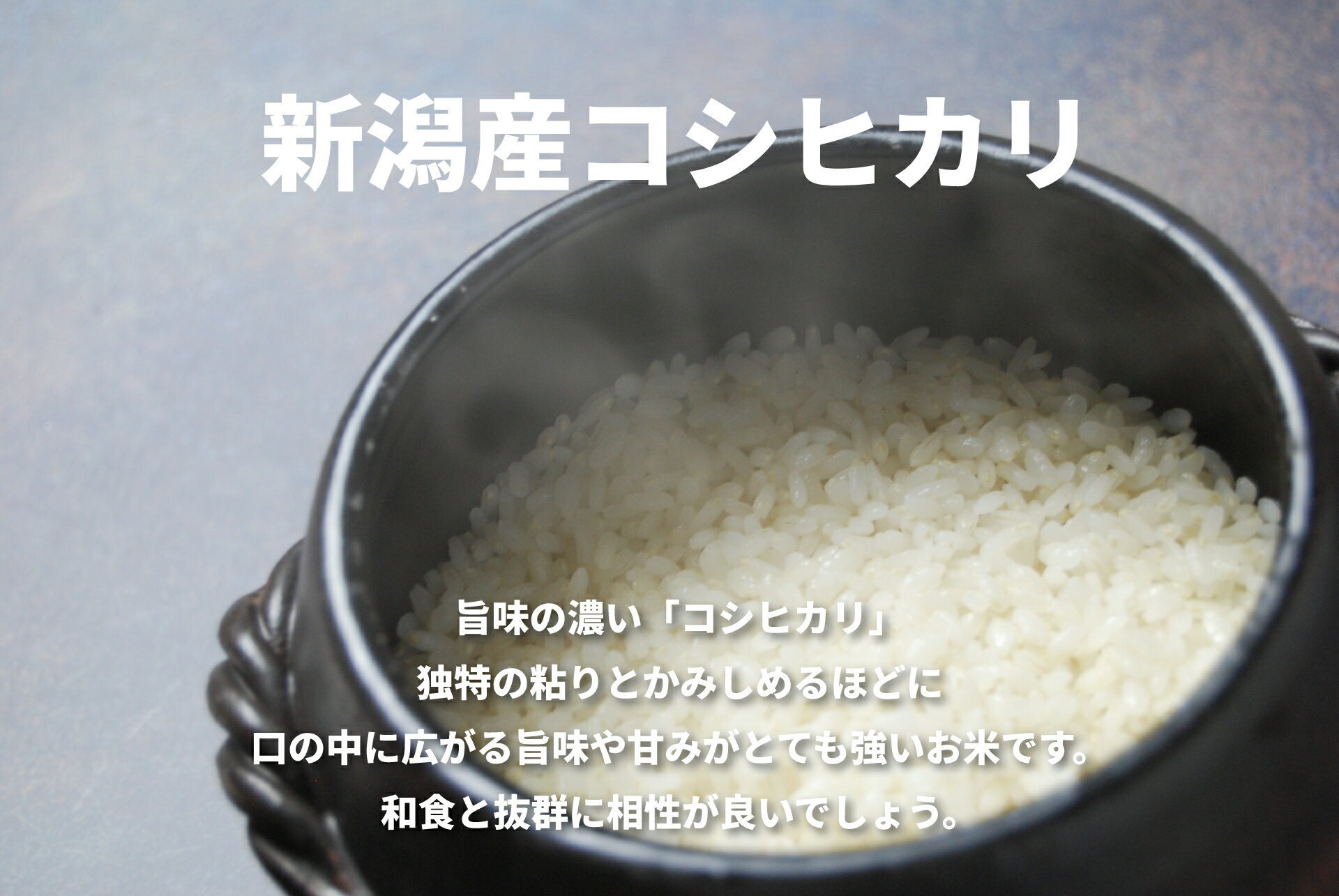 【ふるさと納税】【令和7年産】≪5回定期便≫ 米杜氏 阿賀野市産 特別栽培米 コシヒカリ 5kg × 5回 計25kg 新潟県 米 こめ コメ - 画像3