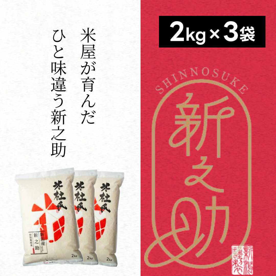 【令和7年産】特別栽培米 新之助 6kg (2kg×3袋) 米杜氏 壱成 白米 精米 大粒 つや 光沢 弾力 芳醇 新潟県 米 こめ コメ