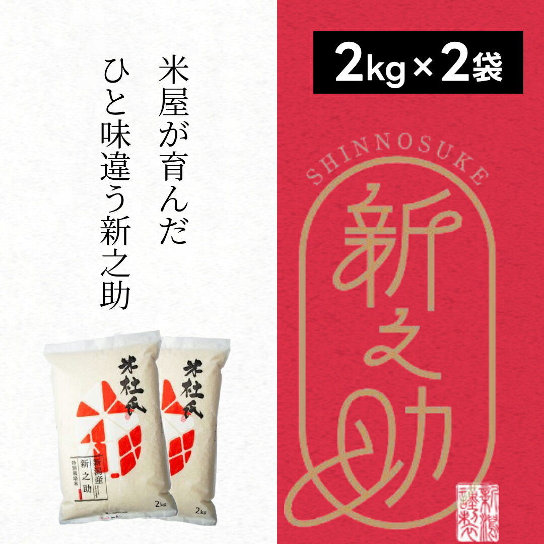 【令和7年産】 特別栽培米 新之助 4kg (2kg×2袋) 米杜氏 壱成 白米 精米 大粒 つや 光沢 弾力 芳醇 新潟県 米 こめ コメ
