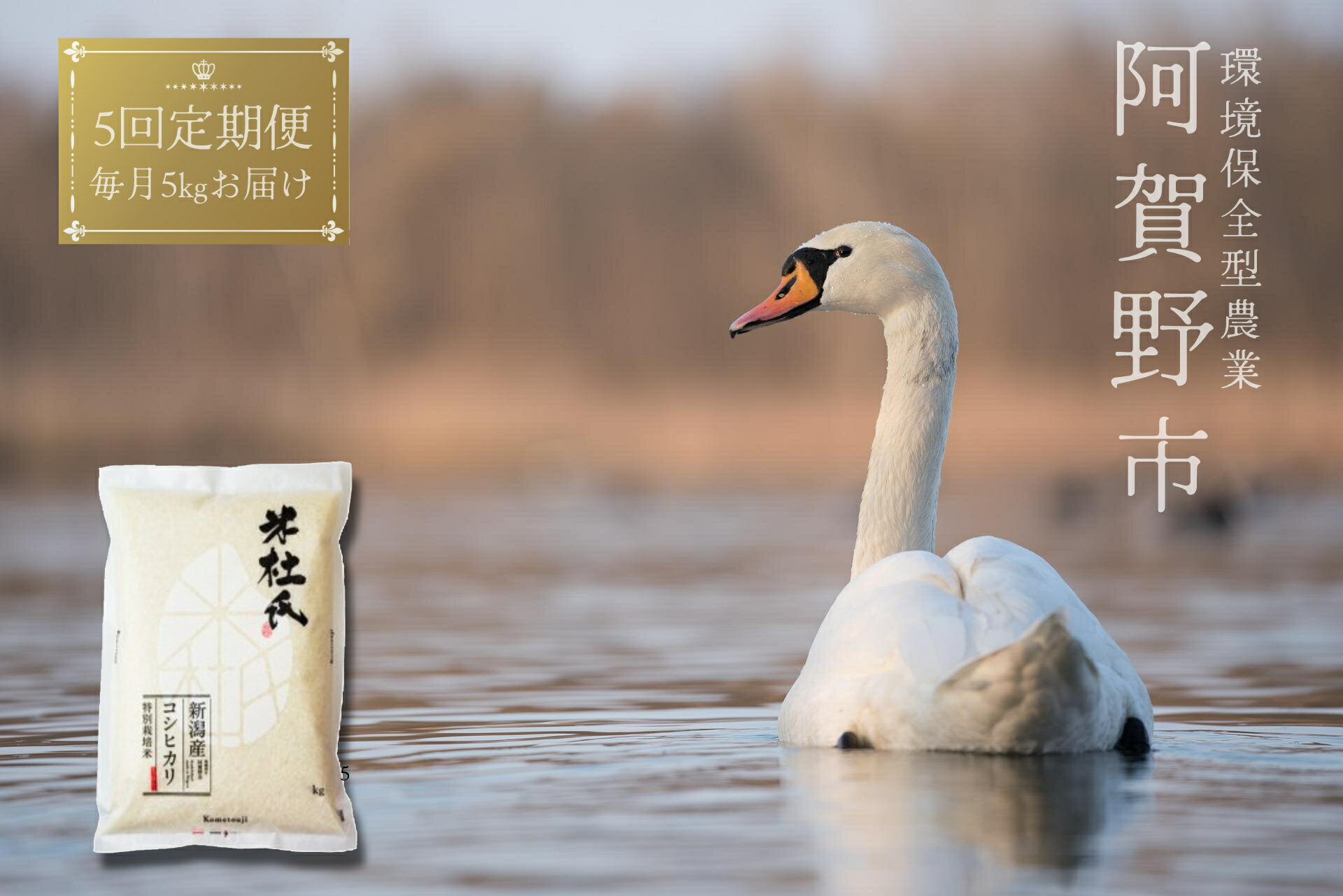 【令和7年産】≪5回定期便≫ 米杜氏 阿賀野市産 特別栽培米 コシヒカリ 5kg × 5回 計25kg 新潟県 米 こめ コメ