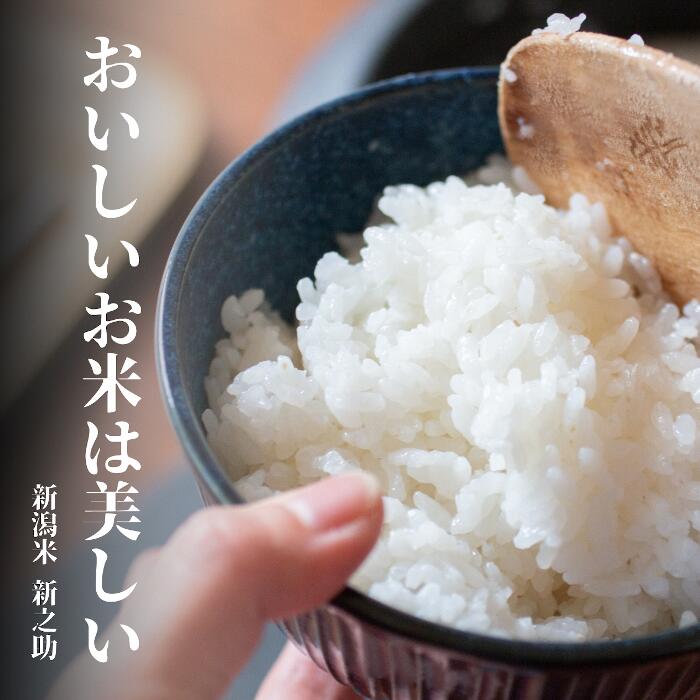 【ふるさと納税】【令和7年産】特別栽培米 新之助 6kg (2kg×3袋) 米杜氏 壱成 白米 精米 大粒 つや 光沢 弾力 芳醇 新潟県 米 こめ コメ - 画像2