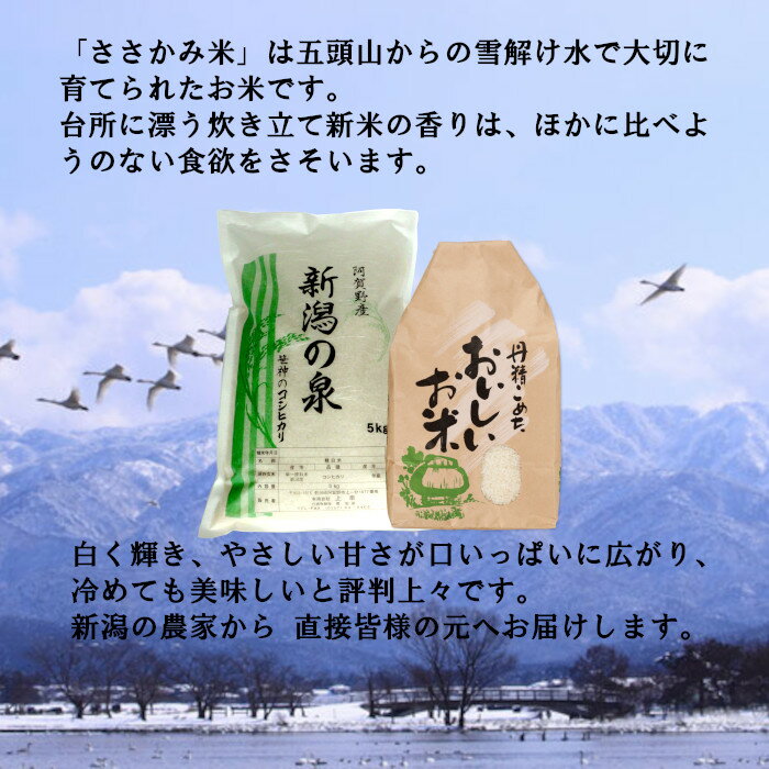 【ふるさと納税】【令和7年産】旧笹神村産 コシヒカリ 2kg 白米 上泉 農家直送 コメドック 金賞 贈答 - 画像3