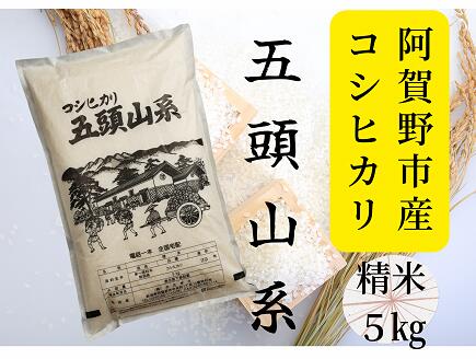 【令和7年産】「米屋のこだわり阿賀野市産」コシヒカリ5kg 新潟県 阿賀野市 五頭山系 米 こめ コメ 白米 精米 かたぎり