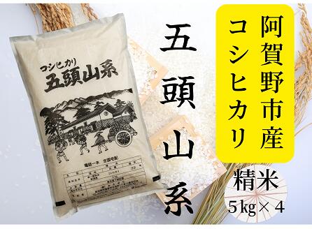 【令和7年産】「米屋のこだわり阿賀野市産」コシヒカリ どーんと20kg！新潟県 阿賀野市 五頭山系 米 こめ コメ 白米 精米 かたぎり