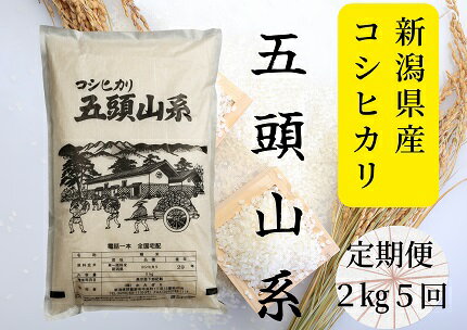 【令和7年産】「米屋のこだわり阿賀野市産」≪5回定期便≫コシヒカリ2kg×5回 新潟県 阿賀野市 五頭山系 米 こめ コメ 白米 精米 かたぎり