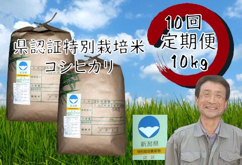 【令和7年産】【10回定期便】新潟県認証！特別栽培米 コシヒカリ 10kg 新潟県 阿賀野市 白米 精米 さいとう農園 米 こめ コメ