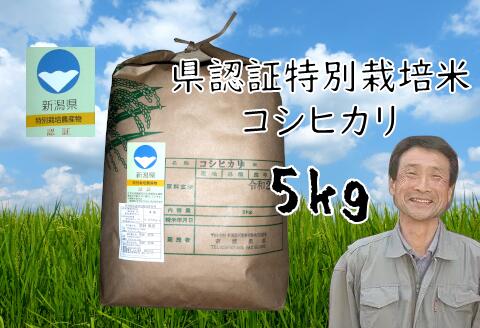 【令和7年産】新潟県認証 特別栽培米 コシヒカリ 5kg 新潟県 阿賀野市 白米 精米 さいとう農園 米 こめ コメ