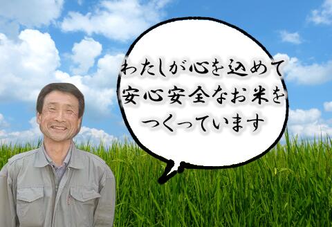 【ふるさと納税】【令和7年産】新潟県認証 特別栽培米 コシヒカリ 5kg 新潟県 阿賀野市 白米 精米 さいとう農園 米 こめ コメ - 画像2