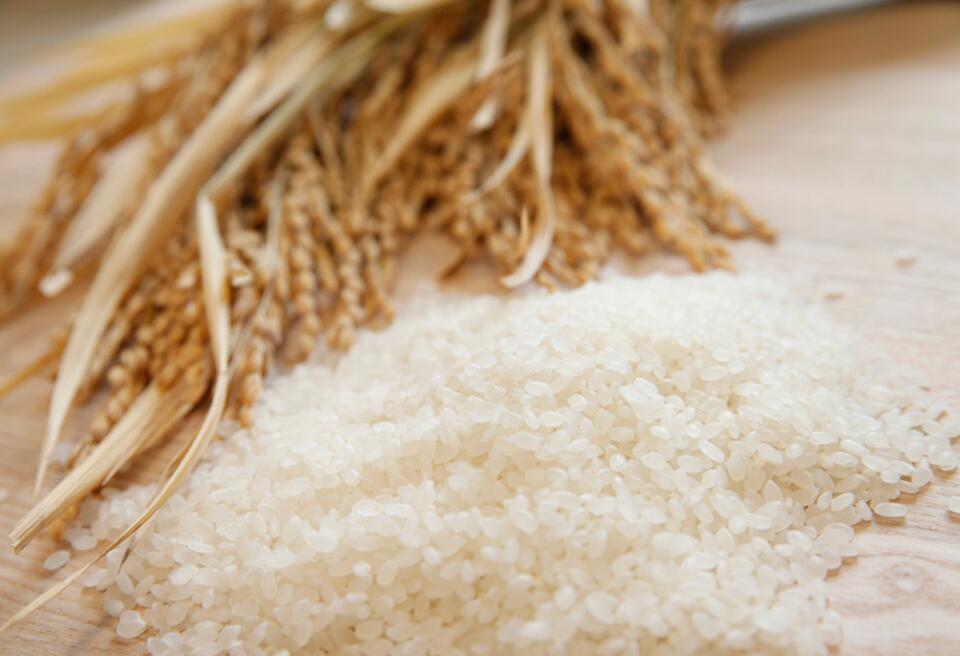 【ふるさと納税】【 令和7年産 】 新潟産 新之助 15kg (5kg×3袋) 【大人気のため予告なしに受付休止・再開します】 精米 白米 ほんのり 香り 芳醇 甘み コク しっかり 粘り 弾力 冷めても おいしい しんのすけ - 画像2