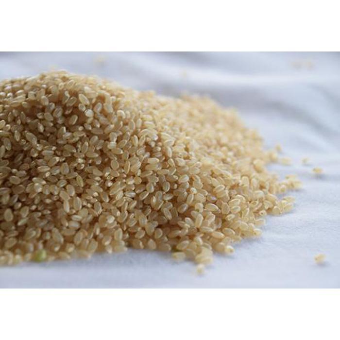 【ふるさと納税】自社栽培米佐渡産こしひかり（玄米）【定期便】 - 画像2