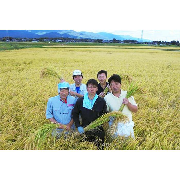 【ふるさと納税】自社栽培米佐渡産こしひかり（玄米）【定期便】 - 画像3