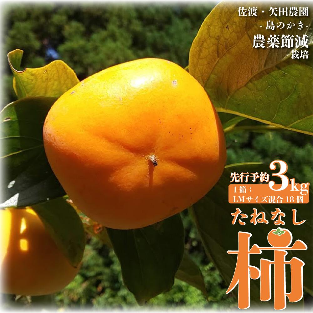 たねなし柿（島のかき）農薬節減栽培　3キロ／5キロ