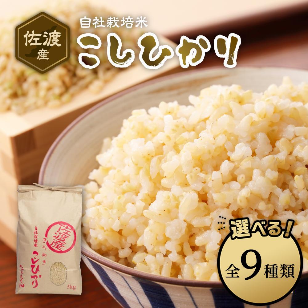 自社栽培米佐渡産こしひかり（玄米）【定期便】