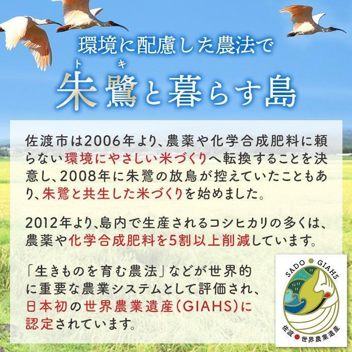 【ふるさと納税】米 佐渡産 ブレンド米 ( 5Kg / 10kg / 15kg / 20kg ) 佐渡のめぐみ | 新潟 佐渡産 コシヒカリ 米 お米 白米 精米 こめ ふるさと納税 ご飯 人気 おすすめ 高評価 お楽しみ おにぎり 送料無料 サムネイル2