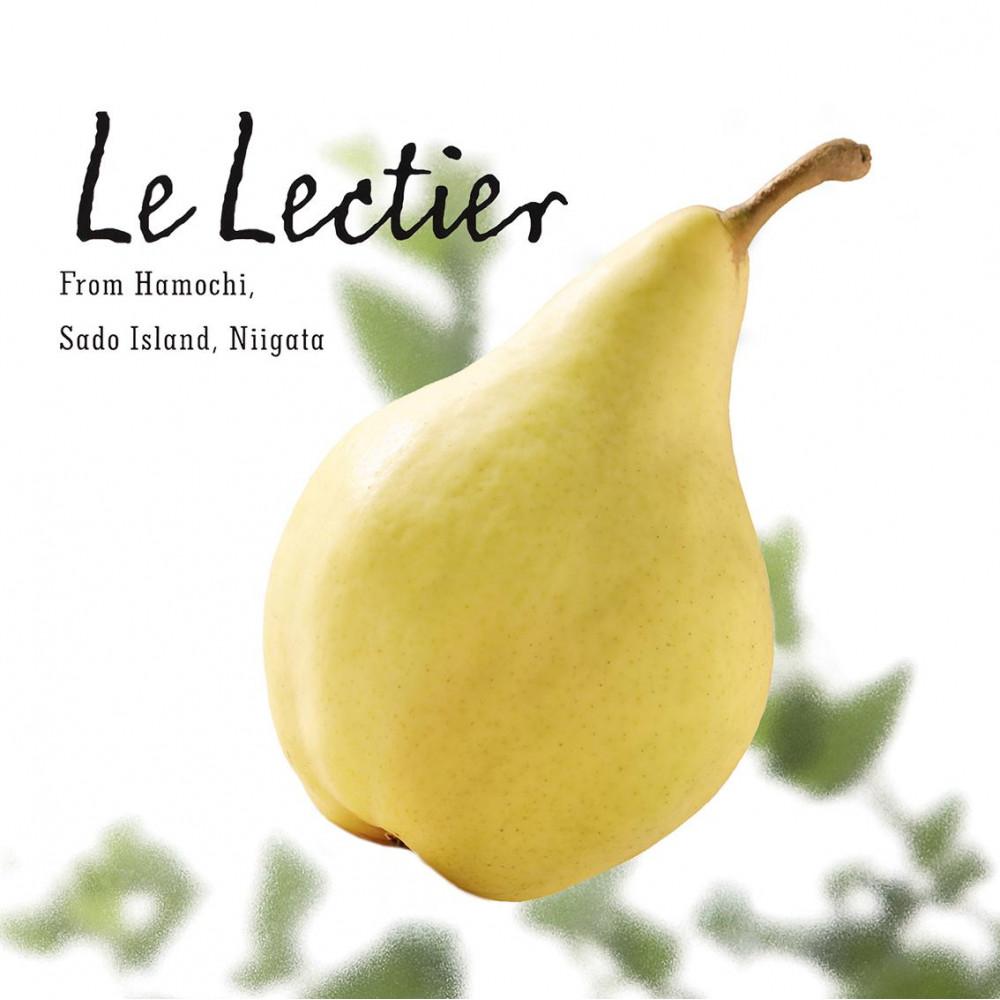 【先行予約】佐渡島産 ル レクチエ 約2kg（5～6個）贈答用 | フルーツ 果物 くだもの 食品 人気 おすすめ 送料無料